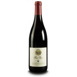 Pinot Nero classico DOC 2021 0.75l