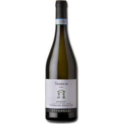 Trebbiano Spoletino DOC BIO 2022 0.75l