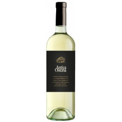 A. O. Verdicchio DOC Jesi 2023 1.50l