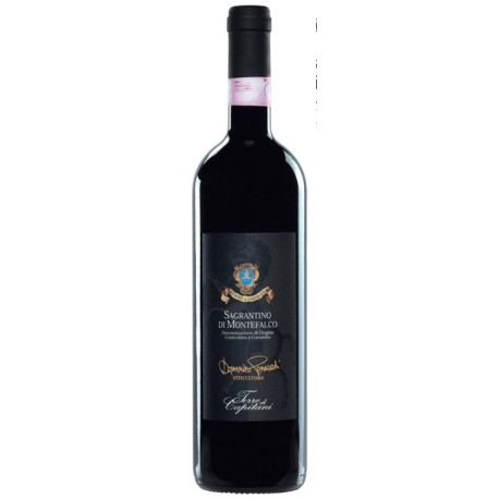 Sagrantino DOCG Secco 2017 0.75l