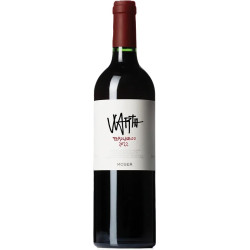 Teroldego IGT Rosso Vigneti delle Dolomi